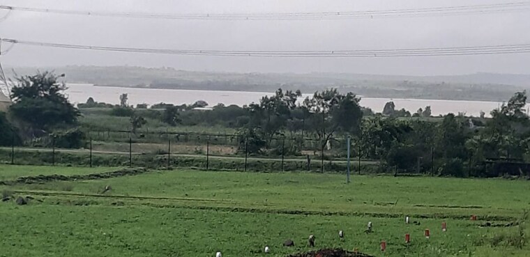 undefined, peth road  150 Sq.Yd. Plot In Peth Road Nashik 10168379