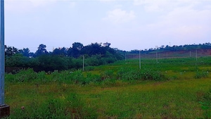 Plot Area in  Plot at Peth Road – for Sale