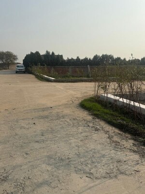 Plot Area in  Plot at Jewar – for Sale