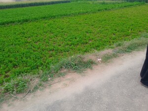Plot Area in  Land at LudhianA-Chandigarh Hwy – for Sale