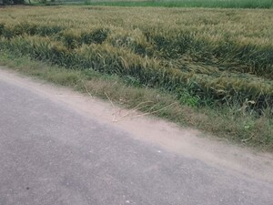 Plot Area in  Land at LudhianA-Chandigarh Hwy – for Sale