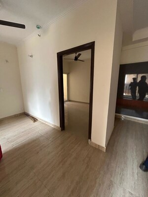Room in 3 BHK Apartment at Amrapali Terrace Homes, Tech Zone 4 Greater Noida – for Rent