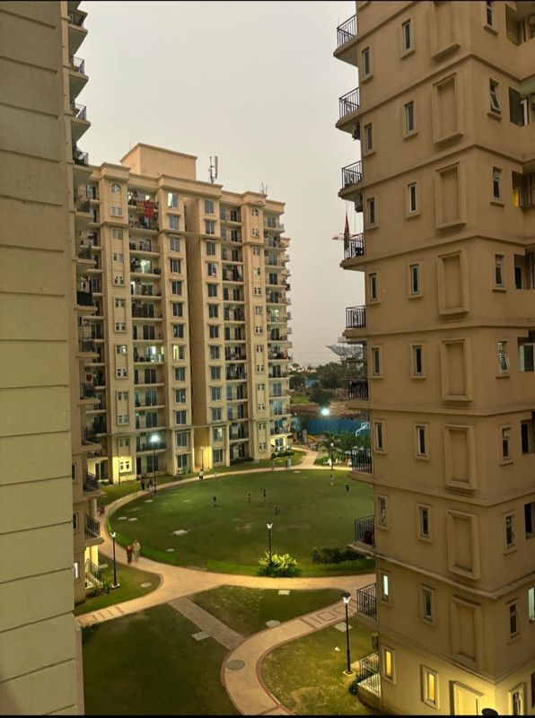 2 BHK + Pooja Room,Study Room Apartment For Rent in Signature The Serenas