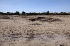 Plot For Sale in Saroor Nagar