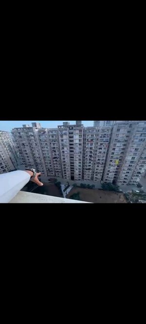 2 BHK Apartment For Rent in Shree Vardhman Green Court, Sector 90