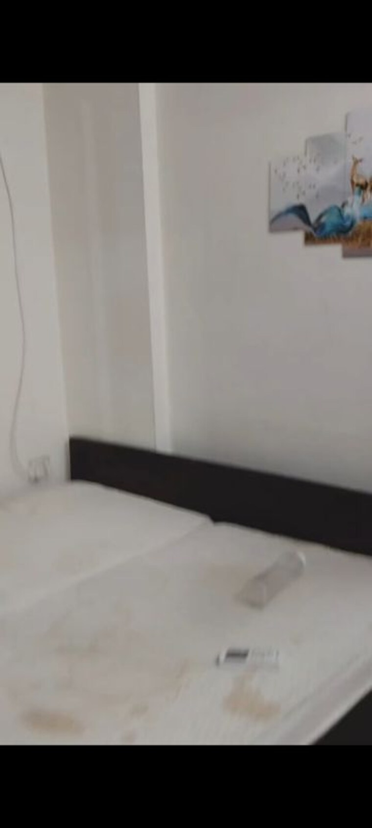 Room, shree-vardhman-green-court 1 Bedroom 418 Sq.Ft. Apartment In Sector 90 Gurgaon 10169294