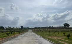 Plot For Sale in Kolar
