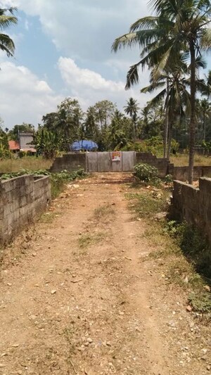Plot Area in  Plot at Maruthumkuzhi – for Sale