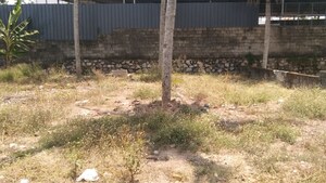  Plot For Sale in Maruthumkuzhi