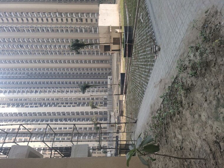 Exterior View, amrapali-heartbeat-city 2.5 Bedroom 1350 Sq.Ft. Apartment In Sector 107 Noida 10169692