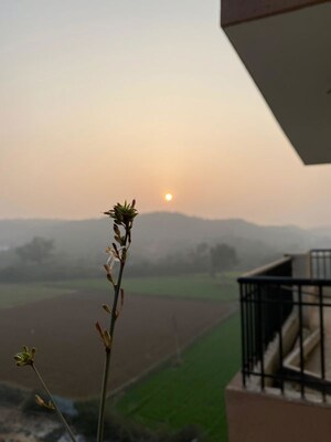 Room in 2 BHK Apartment at HCBS Sports Ville, Sohna Sector 35 – for Sale