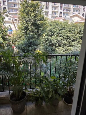 Balcony in 5 BHK Villa at DLF New Town Heights II, Sector 86 – for Rent