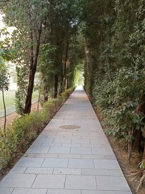 Balcony in 1 RK Apartment at Sector 23a – for Rent