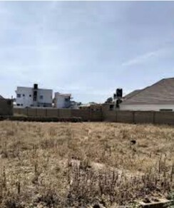Plot For Sale in Sector 85