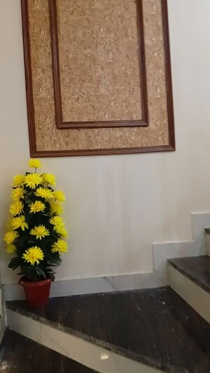 Furnished Amenities in 4 BHK Independent House at Gokulpura – for Sale