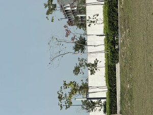   Plot at M3M City Of Dreams, Sector 36 – for Sale