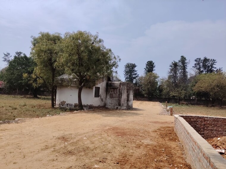 undefined, asola  1200 Sq.Yd. Plot In Asola Delhi 10170789