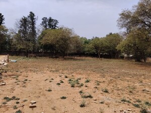 Plot Area in  Plot at Asola – for Sale
