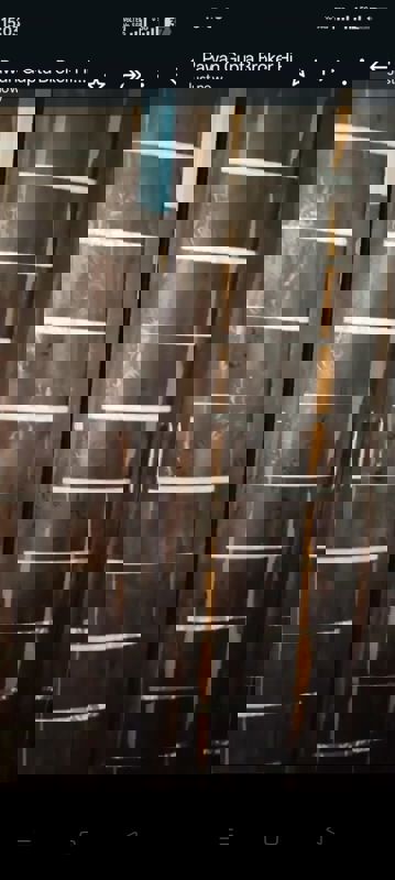 2 BHK 999 Sq.Ft. Apartment in Hiranandani Estate Villa Royale