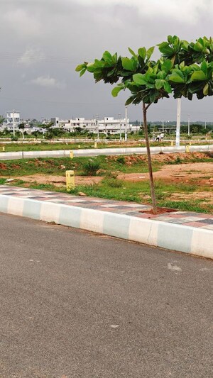  Plot – Exterior View View at Shadnagar - for Sale