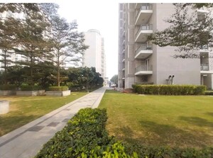 3 BHK Apartment – Exterior View View at DLF The Ultima, Sector 81 - for Rent