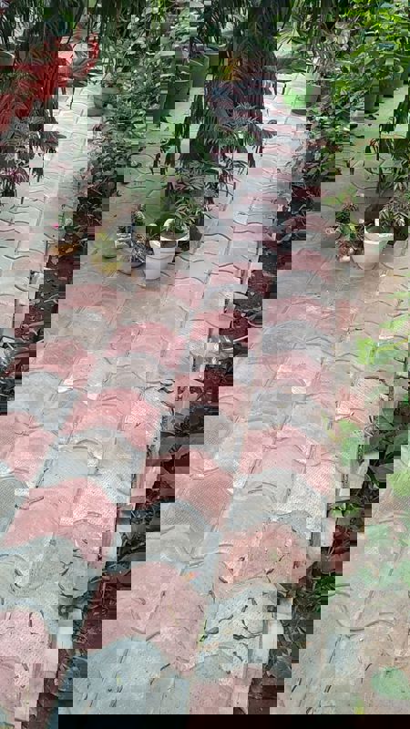 3 BHK + Pooja Room 180 Sq.Yd. Builder Floor in BPTP Park Elite Floors