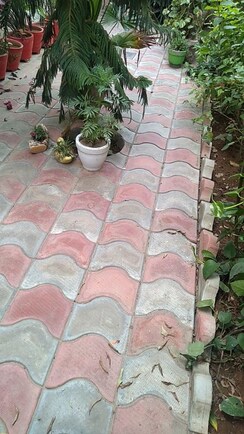 3 BHK + Pooja Room Builder Floor For Sale in BPTP Park Elite Floors