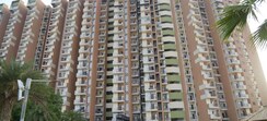 3 BHK + Basement Apartment For Sale in KW Srishti