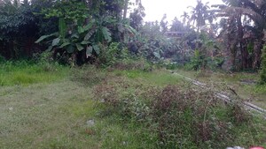 Plot Area in  Plot at Malancha Bazar – for Sale