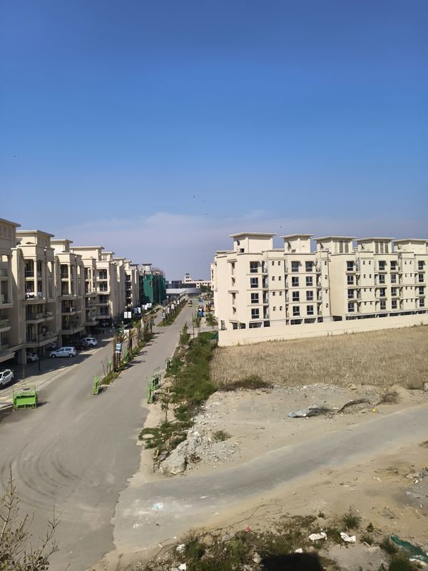 3 BHK Apartment For Rent in Signature Global City