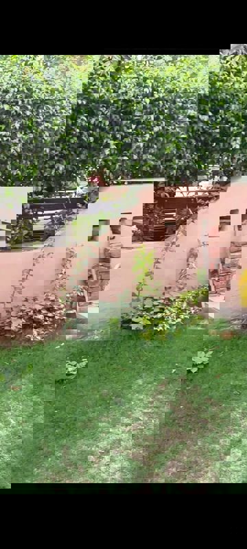 3 BHK + Pooja Room 275 Sq.Yd. Builder Floor in BPTP Park 81