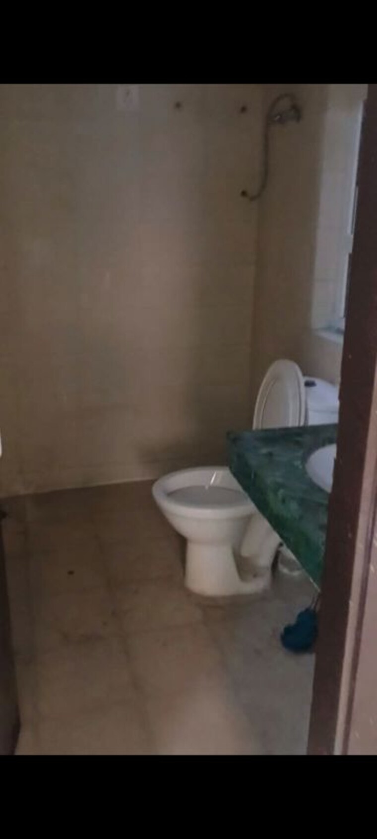 Bathroom, bptp-park-81 3 Bedroom 275 Sq.Yd. Builder Floor In Sector 81 Faridabad 10173629