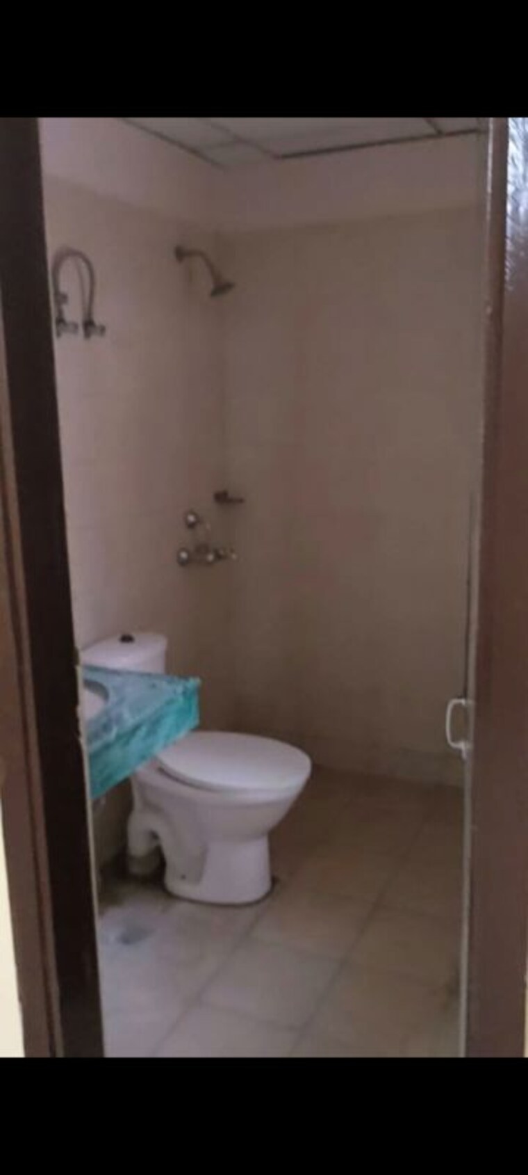 Bathroom, bptp-park-81 3 Bedroom 275 Sq.Yd. Builder Floor In Sector 81 Faridabad 10173629