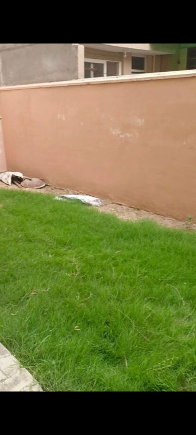 Room, bptp-park-81 3 Bedroom 275 Sq.Yd. Builder Floor In Sector 81 Faridabad 10173629