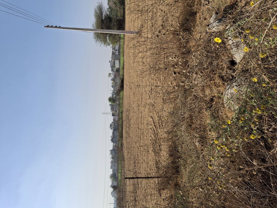 Plot For Sale in Harhua