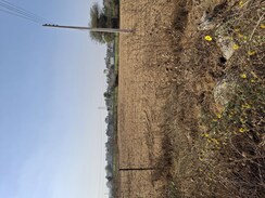 Plot For Sale in Harhua