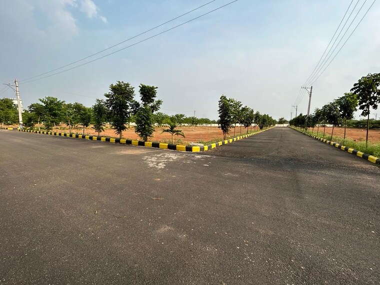 Garden, jb-serene-county  263 Sq.Yd. Plot In Kongara Kalan Hyderabad 10174897