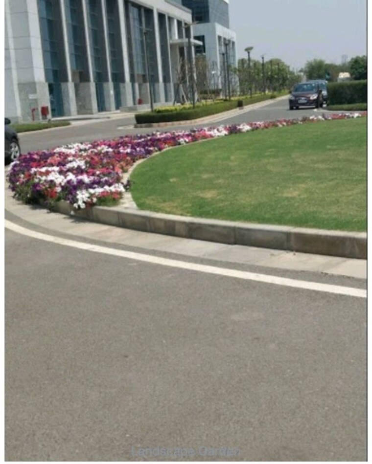 Garden, dlf-corporate-greens Commercial Office Space in IT/SEZ 2800 Sq.Ft. In Sector 74a Gurgaon 10171277
