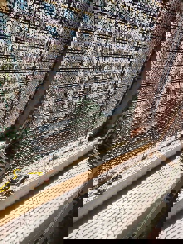 1 BHK 410 Sq.Ft. Apartment in Cosmos Orchid