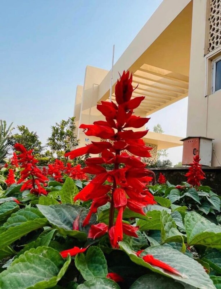 Exterior View, wing-lucknow-greens-plots  1500 Sq.Ft. Plot In Sultanpur Road Lucknow 10115346