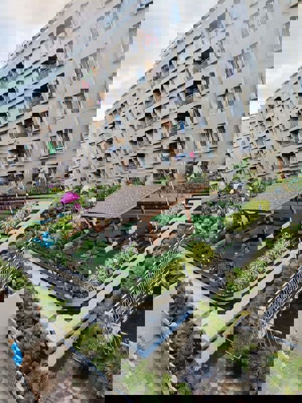 2 BHK Apartment For Rent in Mantra 29 Gold Coast