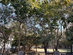 1 RK Apartment – Garden View at Sector 42 - for Rent