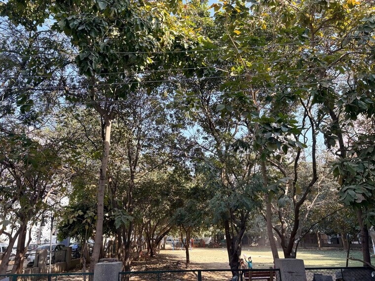 Garden, sector 42 1 RK 680 Sq.Ft. Apartment In Sector 42 Gurgaon 10175410