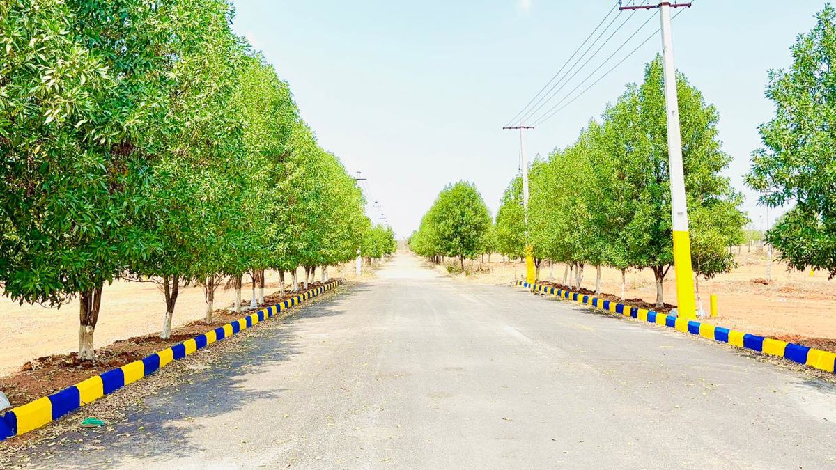 Plot For Sale in Nandiwanaparthy