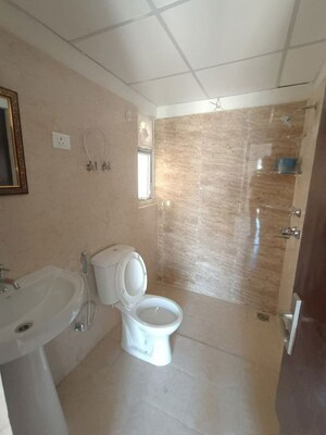 Bathroom in 2 BHK Apartment at Amrapali Terrace Homes, Tech Zone 4 Greater Noida – for Rent
