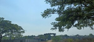  Plot – Exterior View View at Shamshabad - for Sale