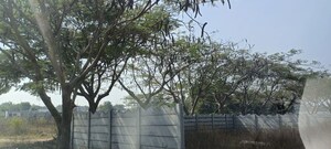 Plot Area in  Plot at Shamshabad – for Sale