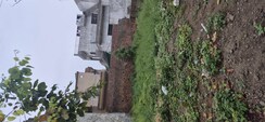 Plot For Sale in Sector 123