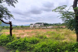 Plot Area in  Plot at Sector 17 Yamuna Expressway – for Sale