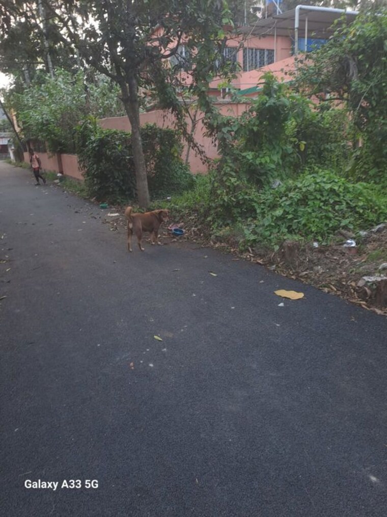 Garden, malancha bazar  3960 Sq.Ft. Plot In Malancha Bazar Kolkata 10172727